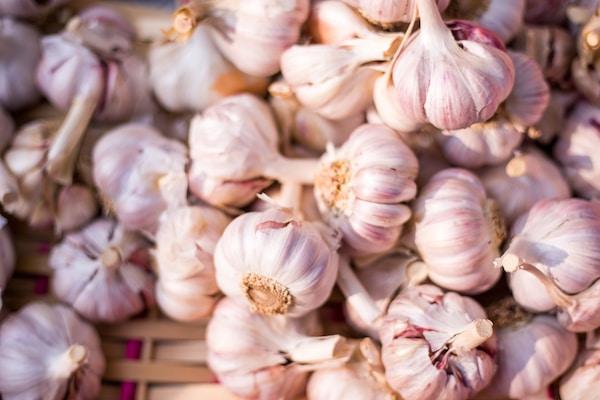 The Ultimate Garlic Guide: Everything You Need to Know